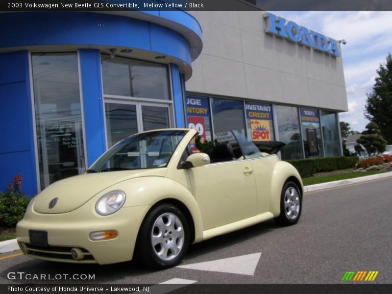 Mellow Yellow / Black 2003 Volkswagen New Beetle GLS Convertible