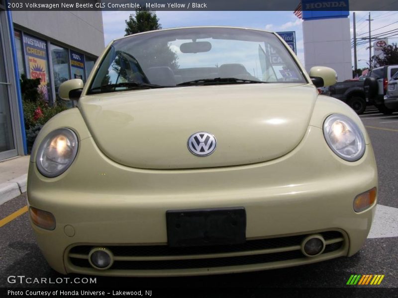Mellow Yellow / Black 2003 Volkswagen New Beetle GLS Convertible