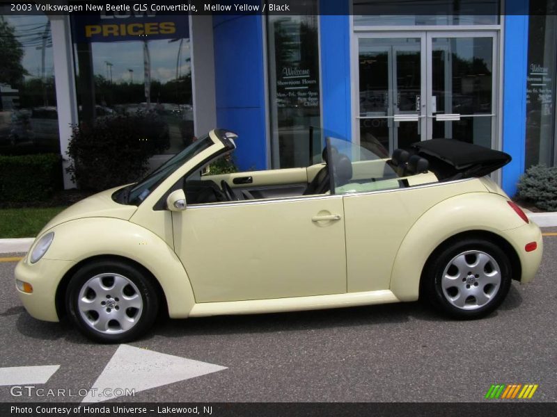 Mellow Yellow / Black 2003 Volkswagen New Beetle GLS Convertible