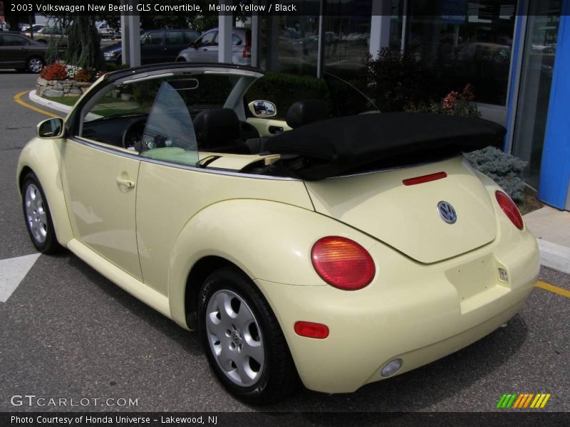 Mellow Yellow / Black 2003 Volkswagen New Beetle GLS Convertible
