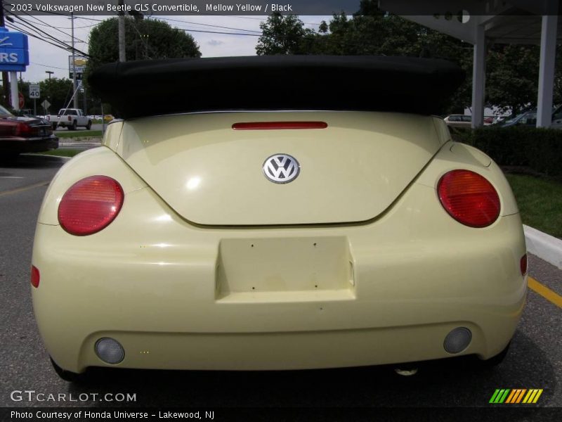Mellow Yellow / Black 2003 Volkswagen New Beetle GLS Convertible