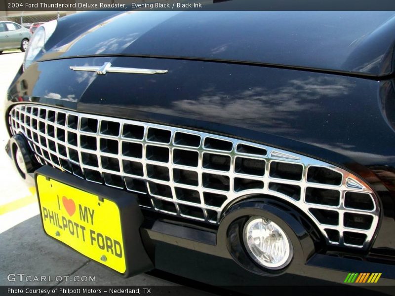 Evening Black / Black Ink 2004 Ford Thunderbird Deluxe Roadster
