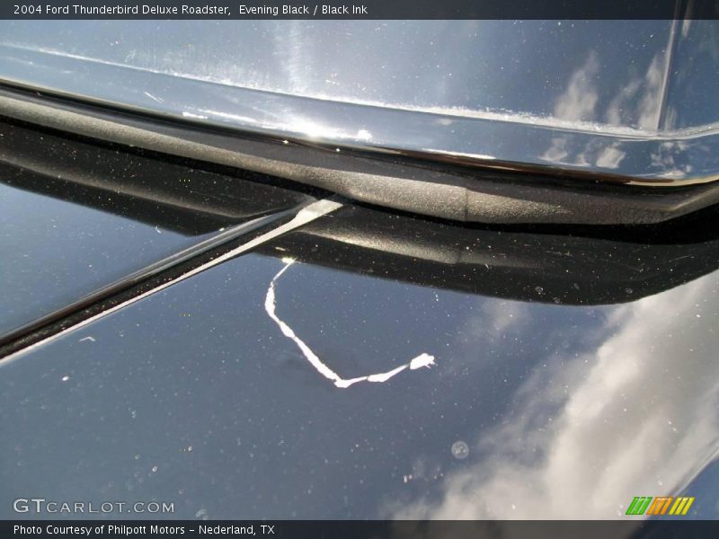 Evening Black / Black Ink 2004 Ford Thunderbird Deluxe Roadster