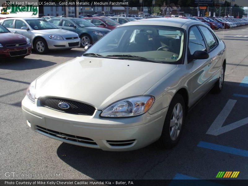 Gold Ash Metallic / Medium Parchment 2004 Ford Taurus LX Sedan