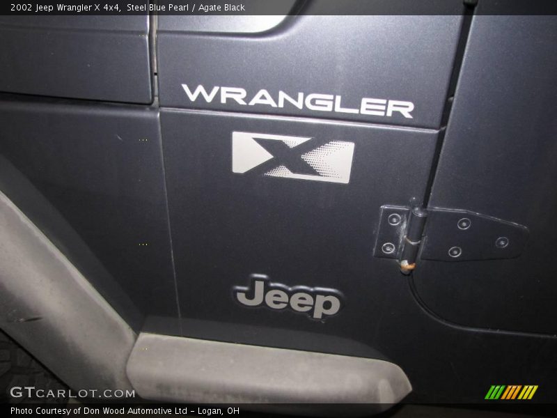 Steel Blue Pearl / Agate Black 2002 Jeep Wrangler X 4x4