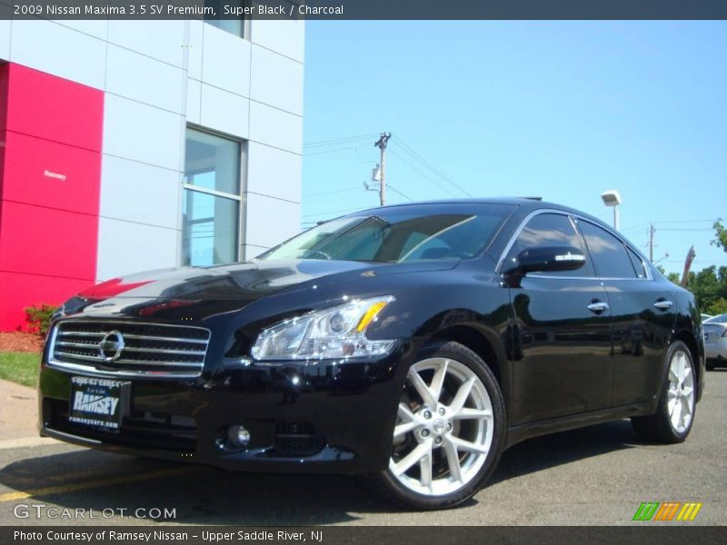 Super Black / Charcoal 2009 Nissan Maxima 3.5 SV Premium