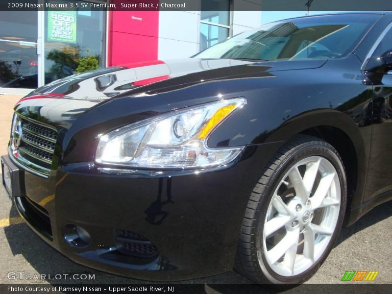 Super Black / Charcoal 2009 Nissan Maxima 3.5 SV Premium