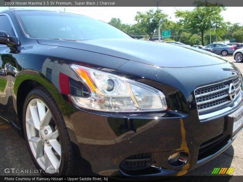 Super Black / Charcoal 2009 Nissan Maxima 3.5 SV Premium