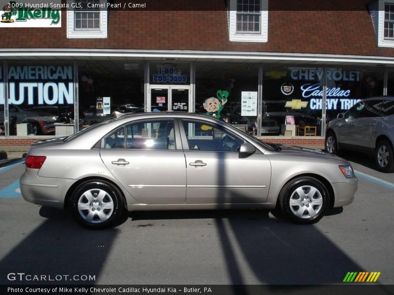 Camel Pearl / Camel 2009 Hyundai Sonata GLS