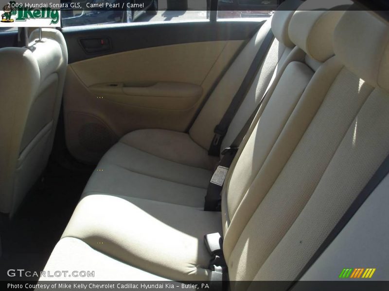 Camel Pearl / Camel 2009 Hyundai Sonata GLS