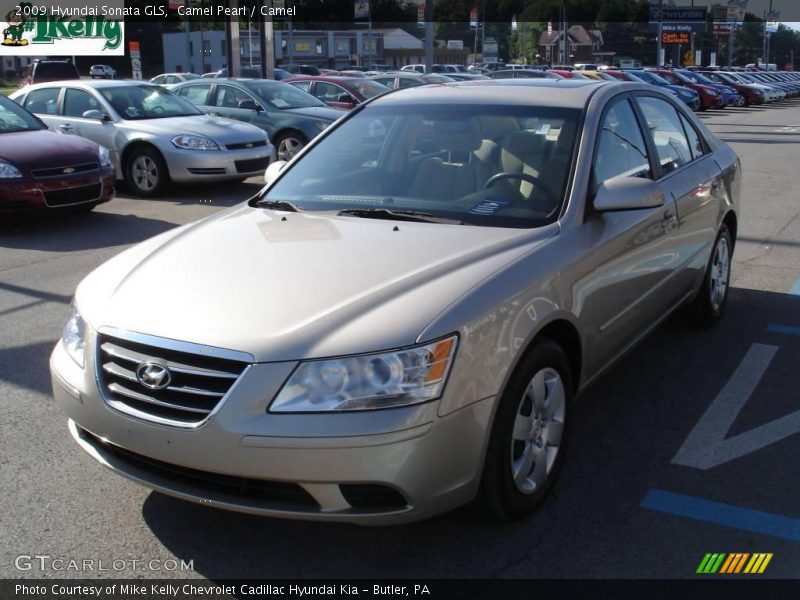 Camel Pearl / Camel 2009 Hyundai Sonata GLS