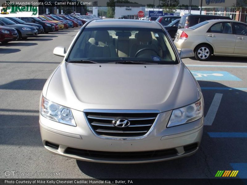 Camel Pearl / Camel 2009 Hyundai Sonata GLS