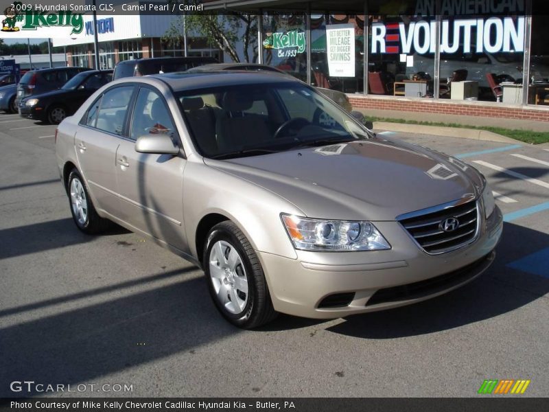 Camel Pearl / Camel 2009 Hyundai Sonata GLS