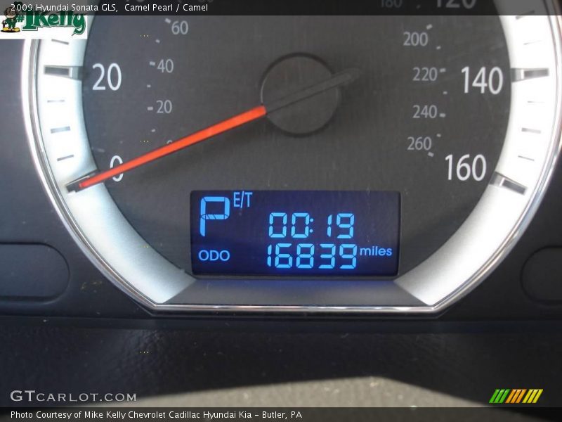 Camel Pearl / Camel 2009 Hyundai Sonata GLS