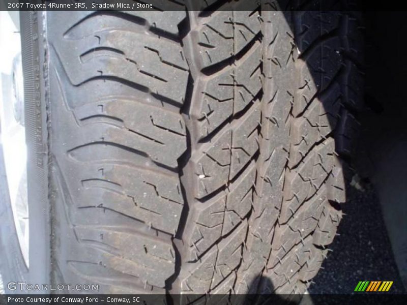 Shadow Mica / Stone 2007 Toyota 4Runner SR5