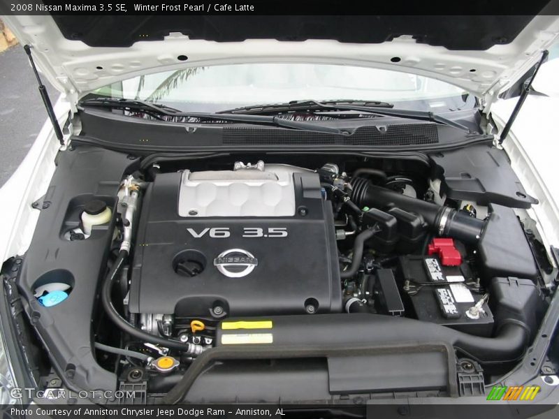 Winter Frost Pearl / Cafe Latte 2008 Nissan Maxima 3.5 SE