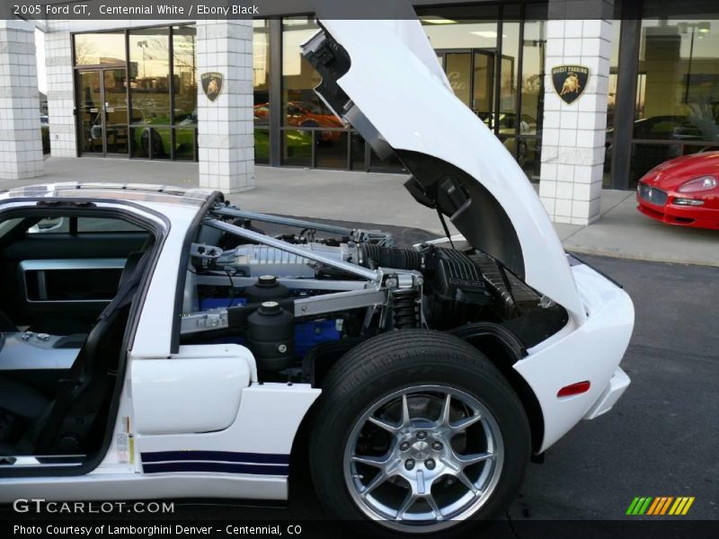  2005 GT  Engine - 5.4 Liter Lysholm Twin-Screw Supercharged DOHC 32V V8