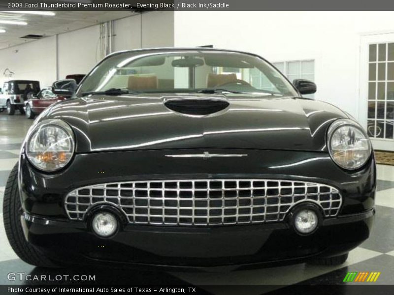 Evening Black / Black Ink/Saddle 2003 Ford Thunderbird Premium Roadster