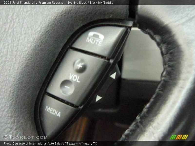 Evening Black / Black Ink/Saddle 2003 Ford Thunderbird Premium Roadster