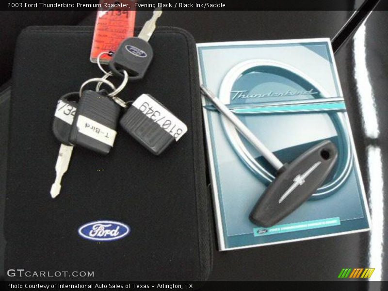 Evening Black / Black Ink/Saddle 2003 Ford Thunderbird Premium Roadster