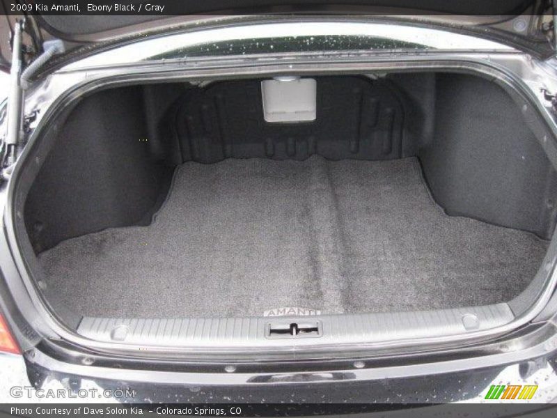Ebony Black / Gray 2009 Kia Amanti