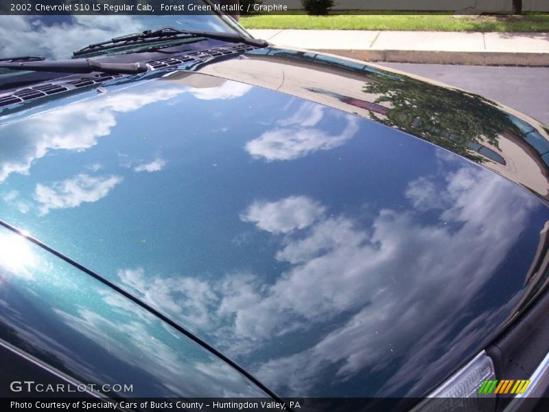 Forest Green Metallic / Graphite 2002 Chevrolet S10 LS Regular Cab