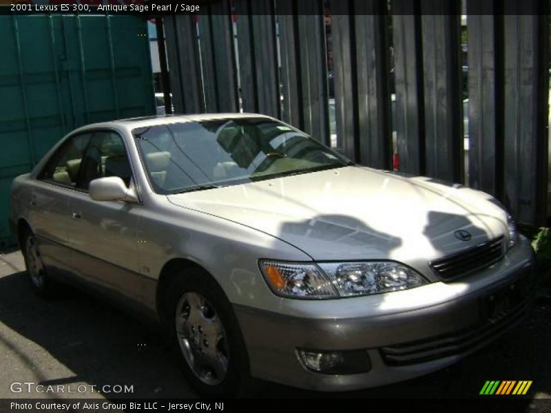 Antique Sage Pearl / Sage 2001 Lexus ES 300