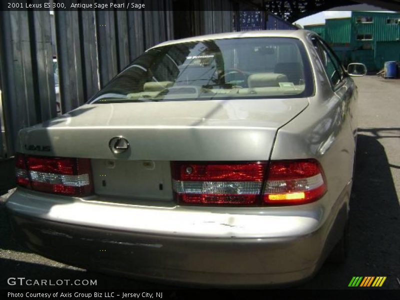 Antique Sage Pearl / Sage 2001 Lexus ES 300