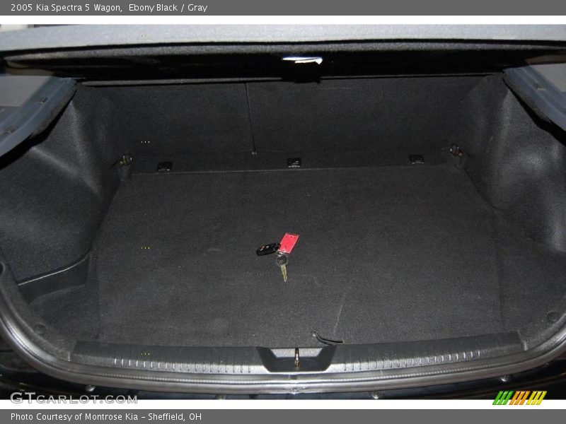 Ebony Black / Gray 2005 Kia Spectra 5 Wagon