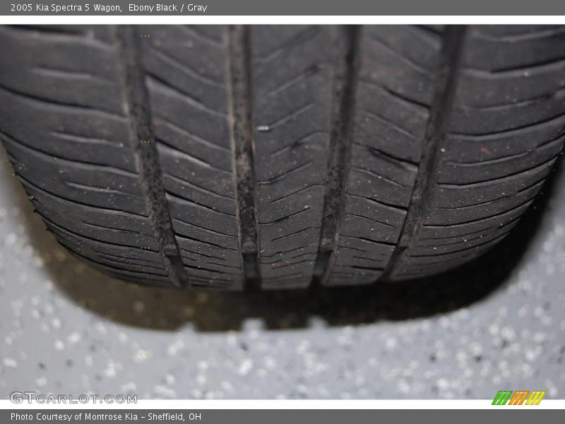 Ebony Black / Gray 2005 Kia Spectra 5 Wagon
