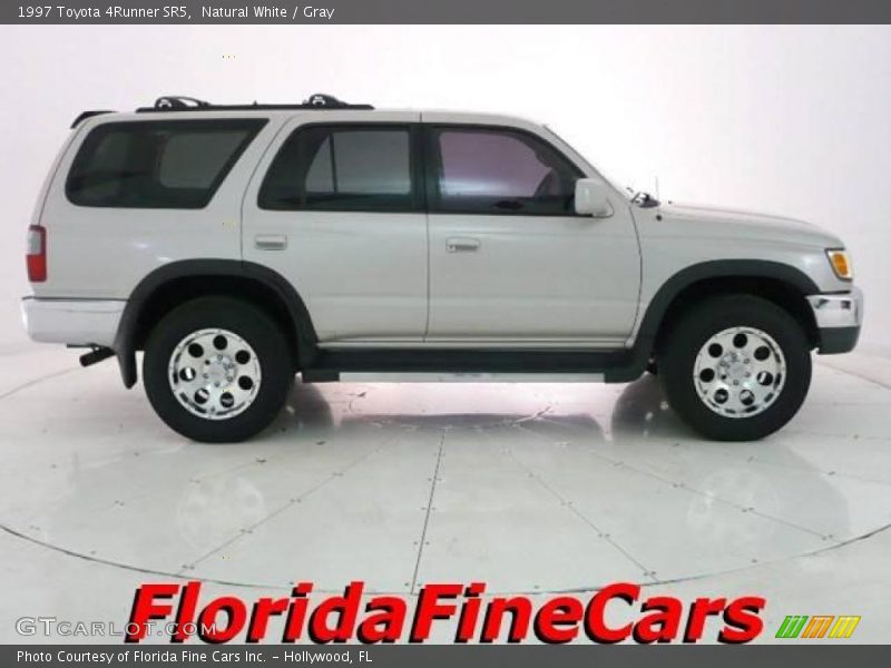 Natural White / Gray 1997 Toyota 4Runner SR5