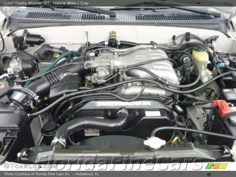 Natural White / Gray 1997 Toyota 4Runner SR5