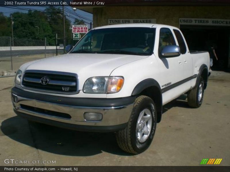 Natural White / Gray 2002 Toyota Tundra SR5 Access Cab