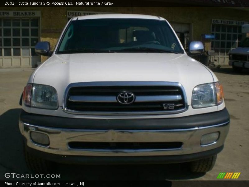 Natural White / Gray 2002 Toyota Tundra SR5 Access Cab