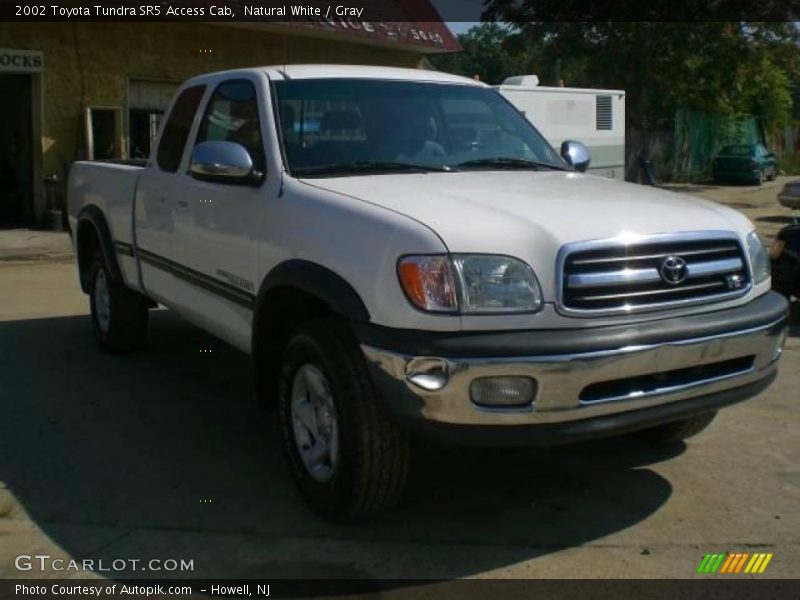 Natural White / Gray 2002 Toyota Tundra SR5 Access Cab