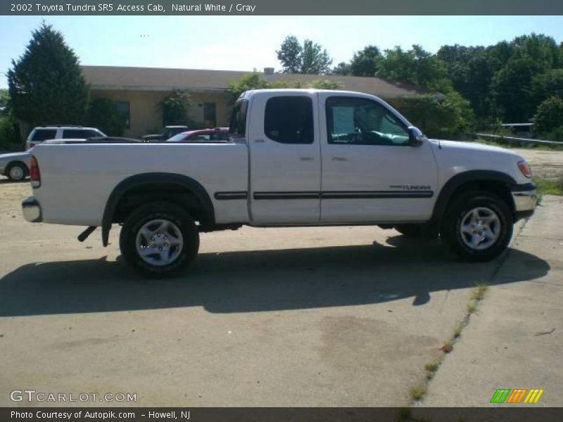 Natural White / Gray 2002 Toyota Tundra SR5 Access Cab