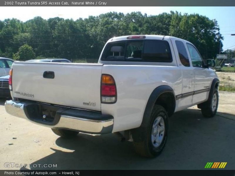 Natural White / Gray 2002 Toyota Tundra SR5 Access Cab
