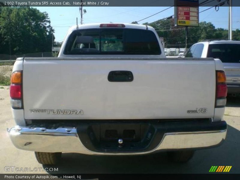 Natural White / Gray 2002 Toyota Tundra SR5 Access Cab