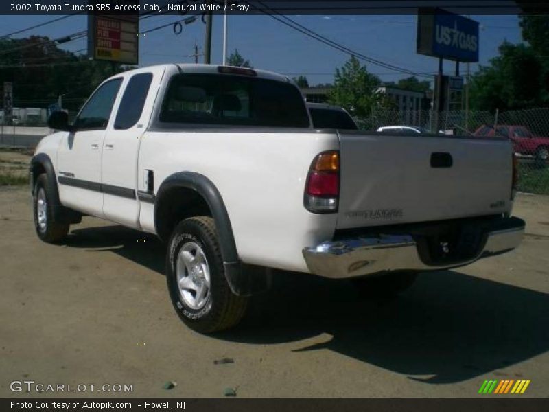 Natural White / Gray 2002 Toyota Tundra SR5 Access Cab