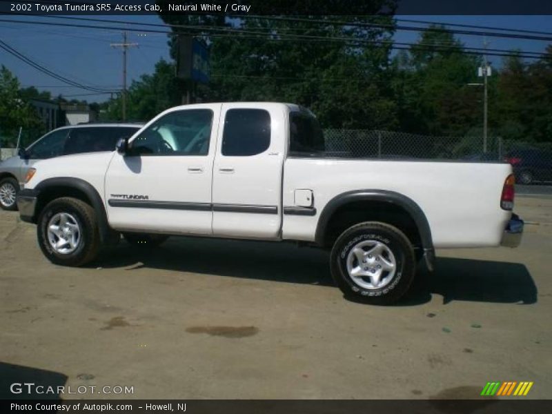 Natural White / Gray 2002 Toyota Tundra SR5 Access Cab