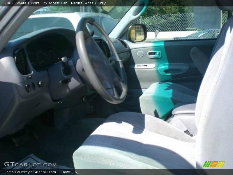 Natural White / Gray 2002 Toyota Tundra SR5 Access Cab