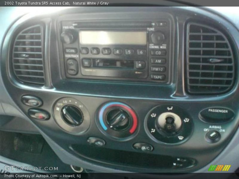 Natural White / Gray 2002 Toyota Tundra SR5 Access Cab