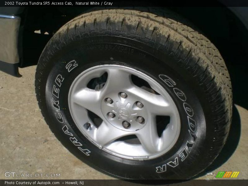 Natural White / Gray 2002 Toyota Tundra SR5 Access Cab