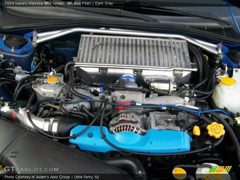 WR Blue Pearl / Dark Gray 2004 Subaru Impreza WRX Sedan