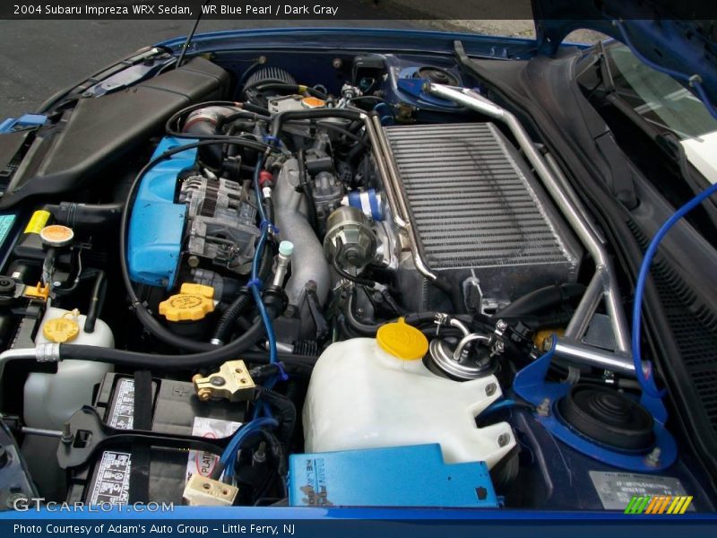 WR Blue Pearl / Dark Gray 2004 Subaru Impreza WRX Sedan