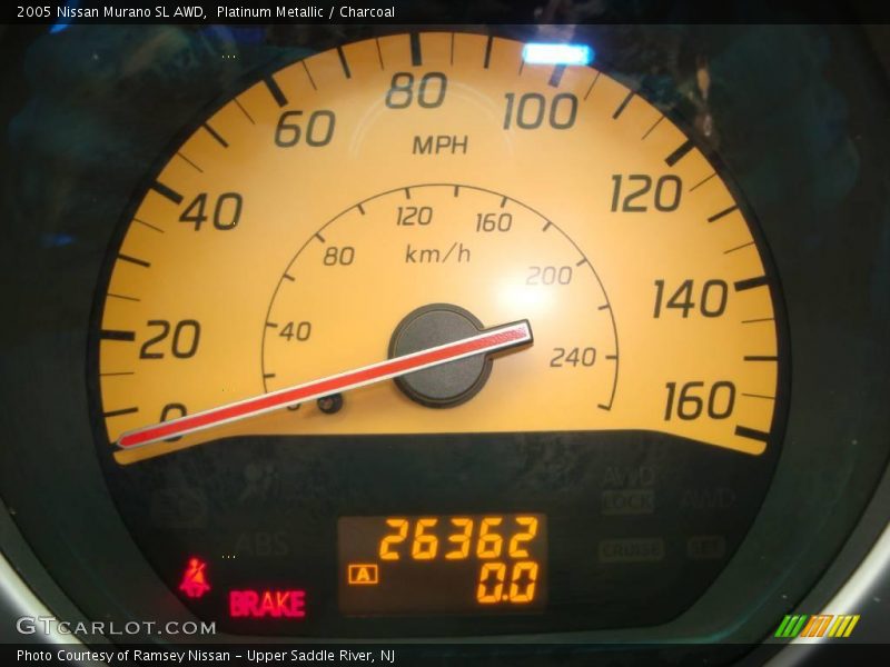 Platinum Metallic / Charcoal 2005 Nissan Murano SL AWD
