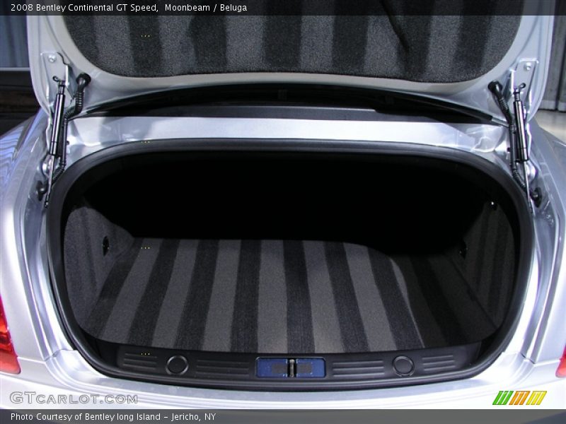 Moonbeam / Beluga 2008 Bentley Continental GT Speed