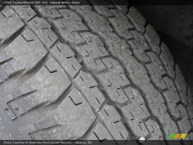 Natural White / Stone 2004 Toyota 4Runner SR5 4x4
