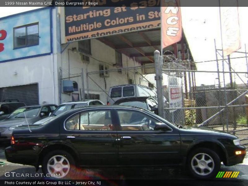Deep Evergreen / Beige 1999 Nissan Maxima GXE