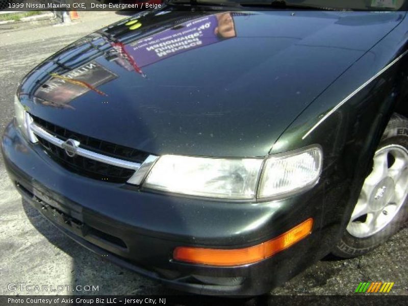 Deep Evergreen / Beige 1999 Nissan Maxima GXE